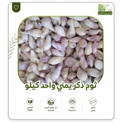 ثوم ذكر يمني واحد كيلو