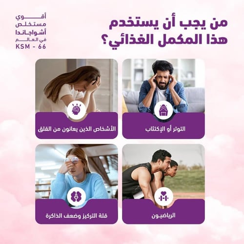 اشواجندا عضوية 600 ملغ 60 كبسولة من هوليستا