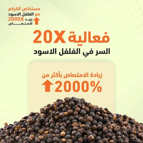 كركم 400 مجم 60 كبسولة من هوليستا