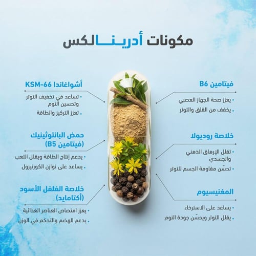 فيتامين غلاند لاين ادرينالكس 60 كبسولة من سينسلاب