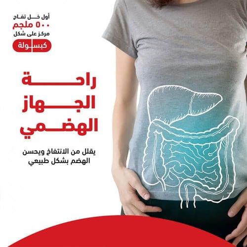 خل تفاح 500 مج 120 كبسولة من هوليستا