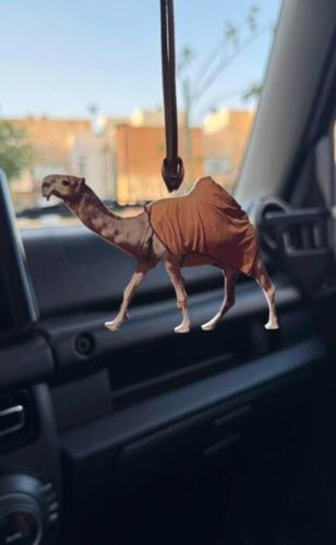 تعليقة اكريلك برسمة حسب الطلب