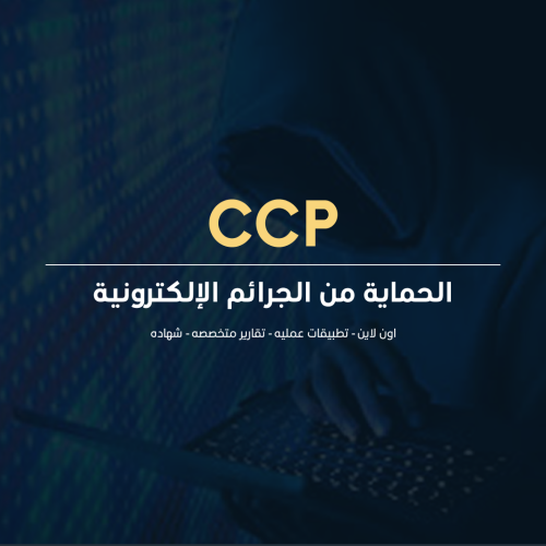 الحماية من الجرائم الإلكترونية