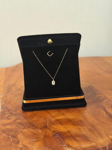 Adding a gold necklace with another gift