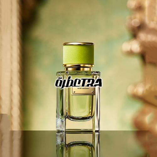 عطر بديل فلفيت برغموت من دولتشي اند غابانا Velvet...