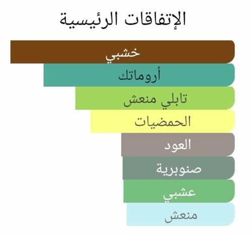 عطر بديل ال الرجالي من كلايف كريستيان L for Men Cl...