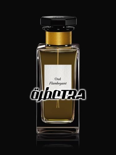عطر بديل عود فلامبوينت من جيفنشي Oud Flamboyant Gi...