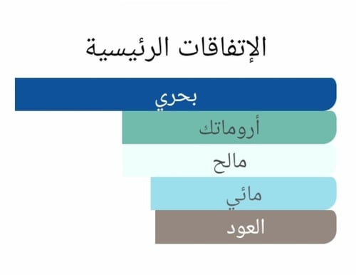 عطر بديل عود مينرال من توم فورد Oud Minérale (2023...