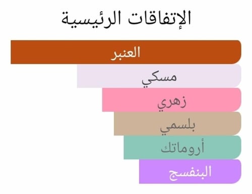 عطر بديل ديب عنبر من رامون بيجار Deep Amber Ramón...