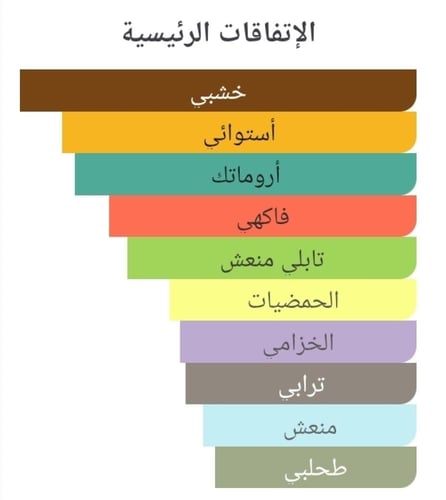 عطر بديل ذا كود اوف ایموشن من فرانشيسكا بيانكي The...