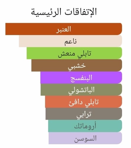 عطر بديل نوار من توم فورد Noir Tom Ford Alternativ...