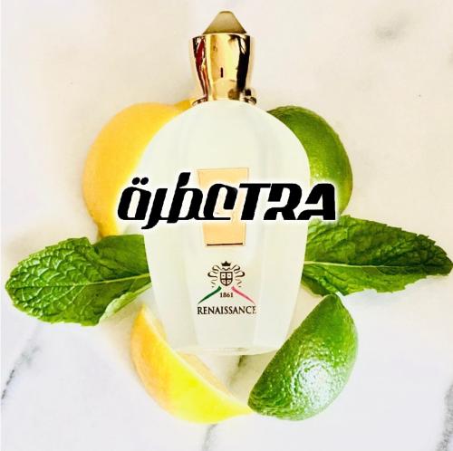 عطر بديل رینیسانس من زيرجوف XJ 1861 Renaissance Xe...