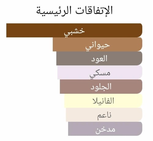 عطر بديل كيمي من زيرجوف Kemi Xerjoff Alternative