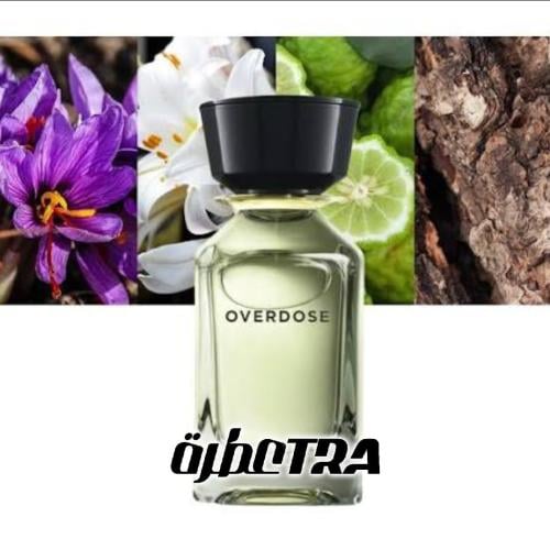 عطر بديل اوفردوز من عمان لكجري Overdose Omanluxury...