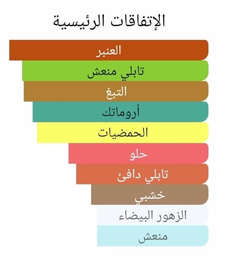 عطر بديل ذا وان الرجالي من دولتشي اند غابانا The O...