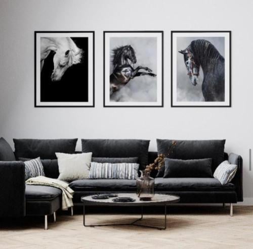 لوحة كانفس فنية ثلاثية بتصميم خيل مع اطار اسود89