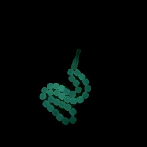 بكلايت بلجيكي- مضيئ