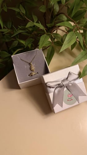 سلسال وخاتم الشمس