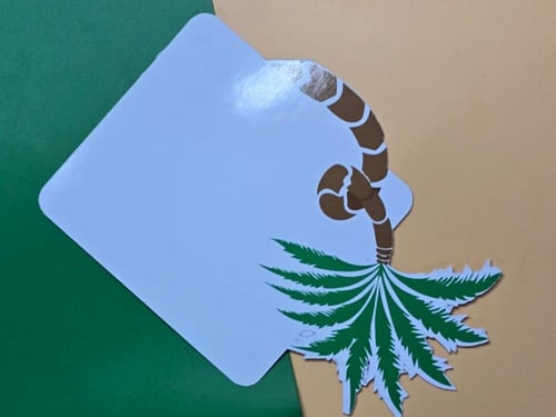 كروت النخله