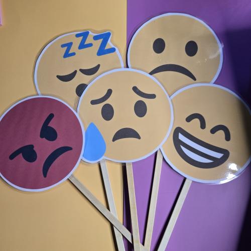 فيسات المشاعر على أعواد - دائرة 6 إنش