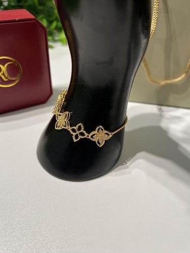 اسوارة ذهبي roberto cion