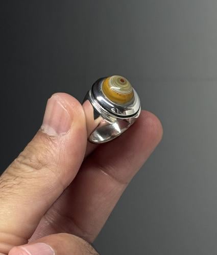 سليماني هندي أطواق والوان ونقطه حمراء - عقيل يدوي