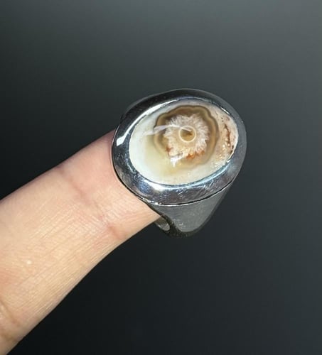 سليماني هندي فلاور لون مميز بعروق حمراء