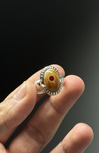 سليماني هندي عين حمراء