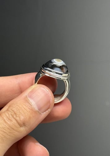 سليماني هندي أسود طوق وفلاور