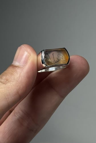 شجري زجاجيه عاليه جدا