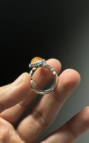 سليماني هندي عين حمراء