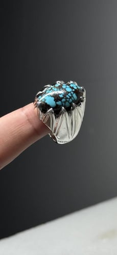 فيروز نيشابوري شبكي