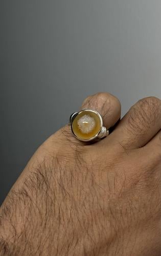 سليماني هندي أصفر - صغيره