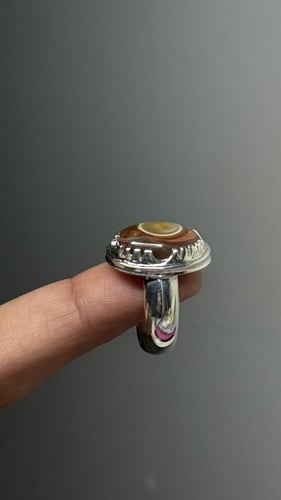 سليماني هندي ألوان جميله وعين صفراء