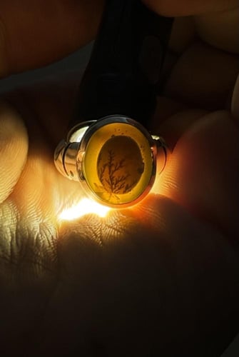 بقراني لون جميل عين مشجره