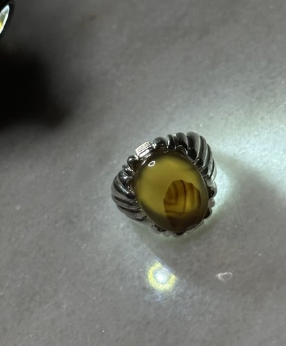 زيتي رعفراني مصور