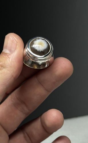 سليماني هندي دائري فلاور