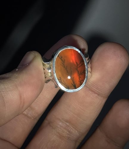 شجري زجاجي لونين