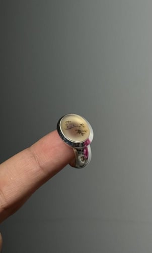 شجريه زجاجيه