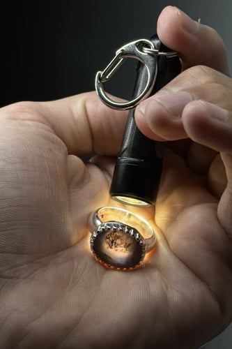 بنفسجي شجري