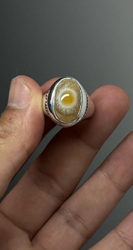 سليماني هندي فلاور أصفر 2