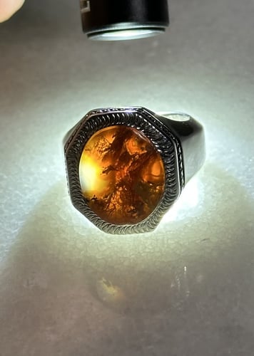 ورد الربيع سداسي وجه مشرشر