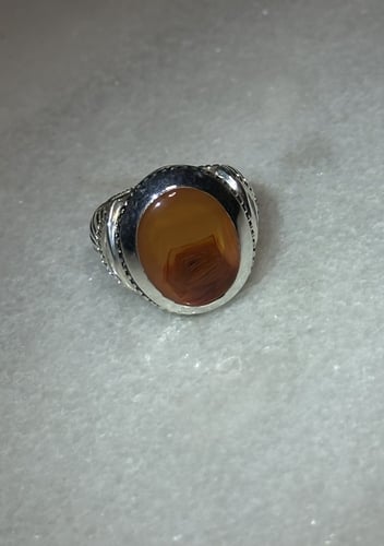 مشمشي عين زعفرانيه