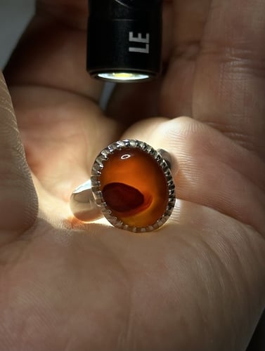 مشمشي مشع زعفران