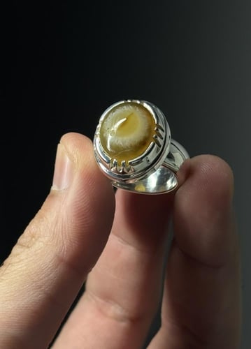 هندي أصفر فلاور