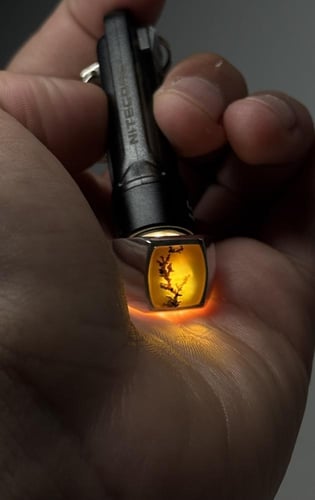 أصفر زجاجي شجري