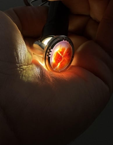 بنفسجي زعفراني حجم أصغر