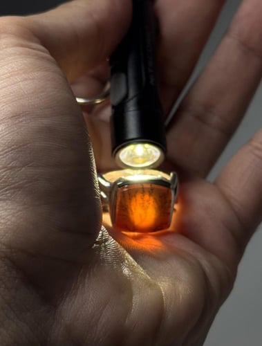 شجري فل لونين