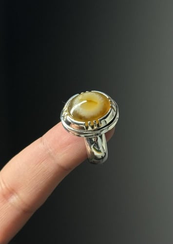 هندي أصفر فلاور