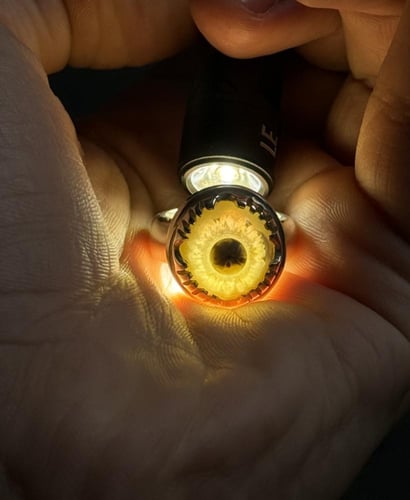 سليماني هندي ابيض دبل فلاور